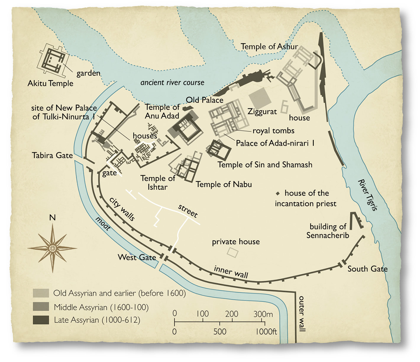 Bill Donohoe - Illustrator - Ashur Map
