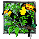 Toucans