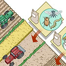 Pesticides Diagram