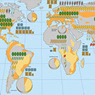 Croplands